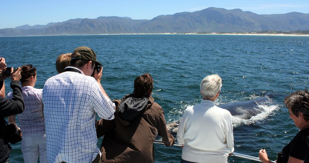 Kleinzee Oceanfront Pensión Gansbaai Exterior foto